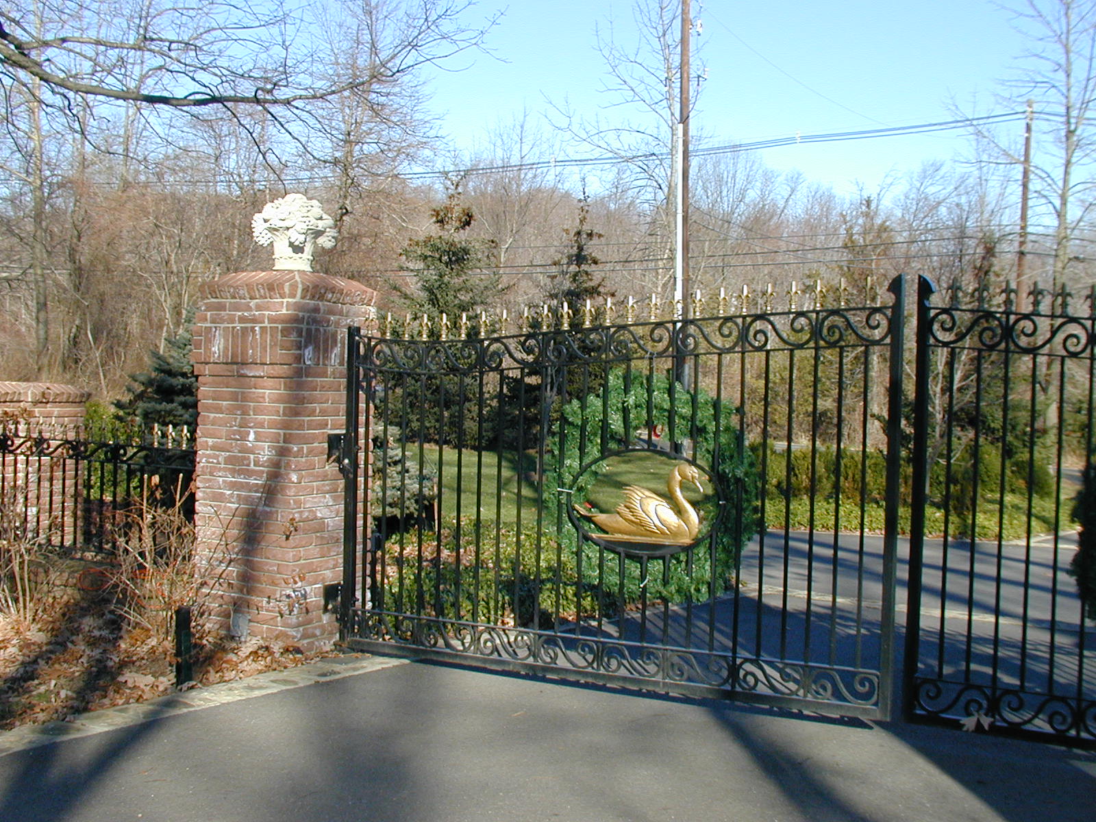 Portfolio Link Photo